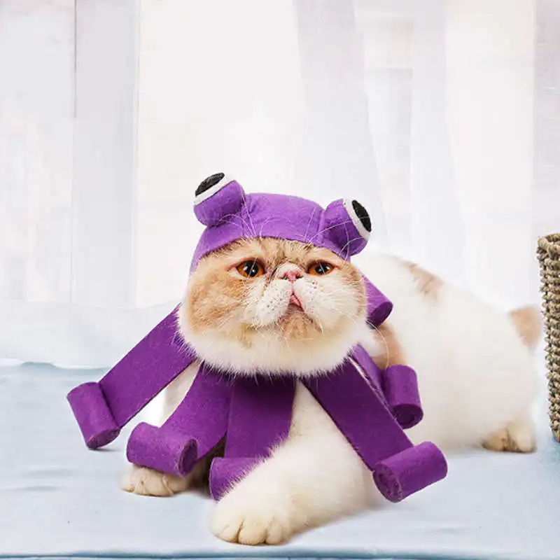 halloween-cat-costume(6)