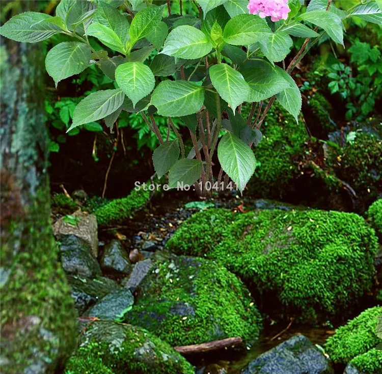 PVC autoadesivo, 3D Wallpaper para banheiro e quarto
