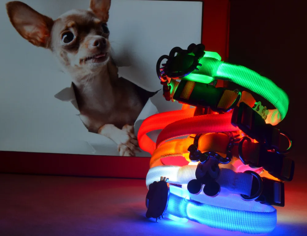 KT Cat светодиодный ошейник для собаки 1,5 см широкая светящаяся безопасность в темное время суток светящийся ошейник для собаки в темноте Mascotas ошейники для собак