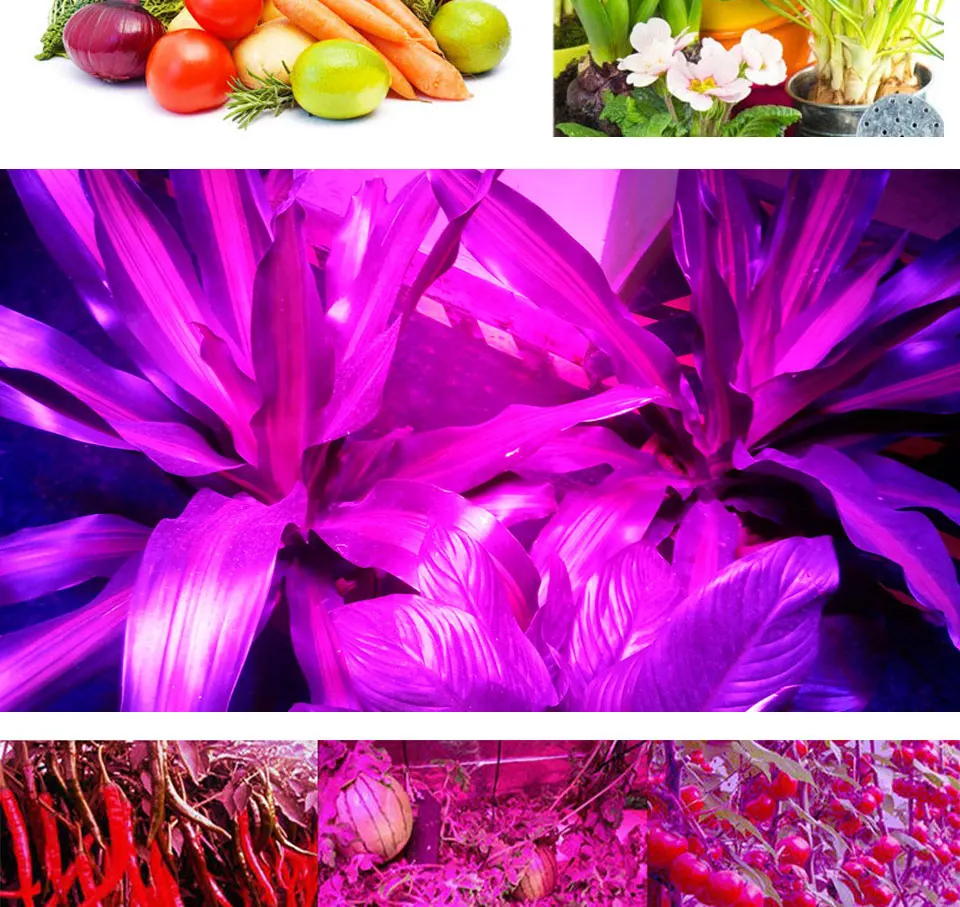 110V 220V indoor plant growing Led light grow lamp bulb (5)
