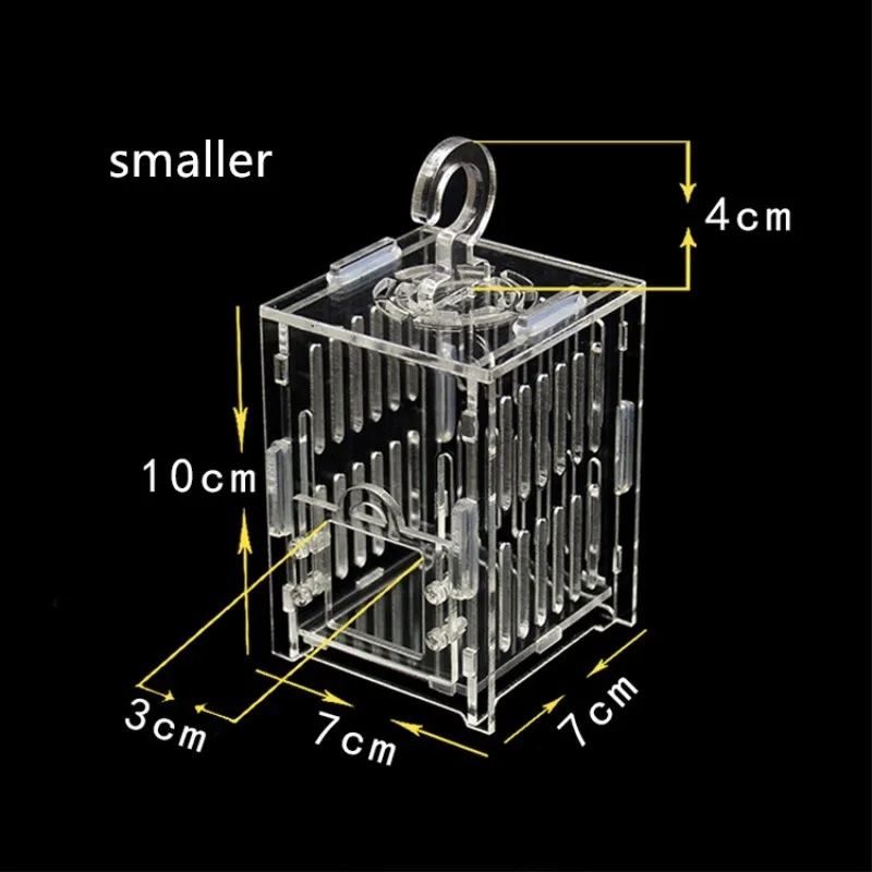 Прозрачная акриловая клетка для тараканов Кузнечик клетка в форме бабочки певица рептилия клетка