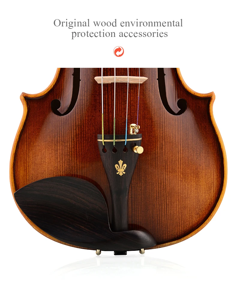 Master Violin Christina Italy V08B professional violino 4/4 high quality Spruce Maple Violin Case,rosin musical instruments