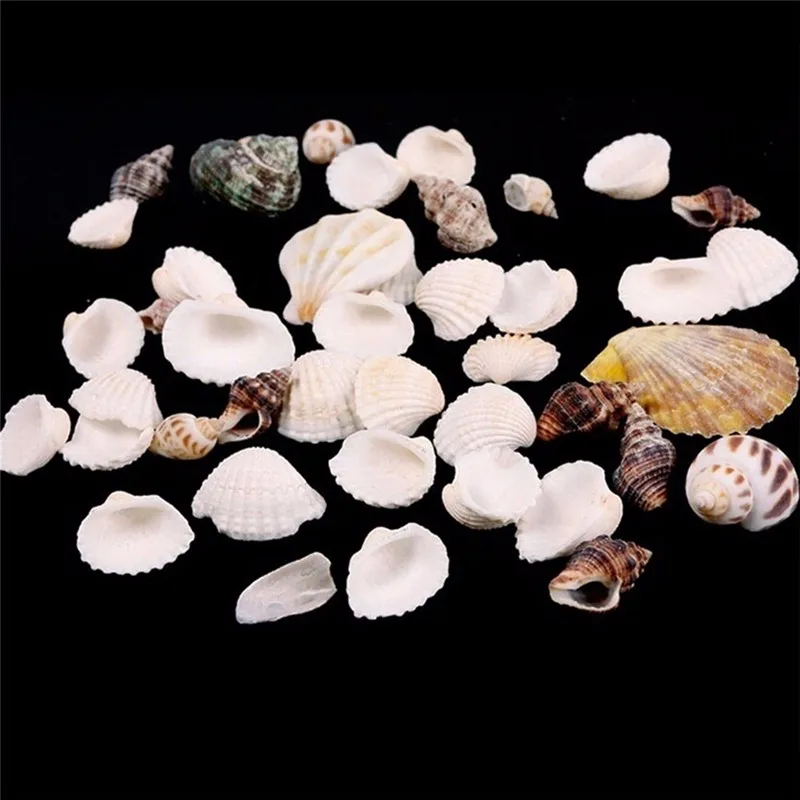 100g Beach Fashion Seashells Sea Shells for DIY Caft Decor Fashion Jewelry Decoration