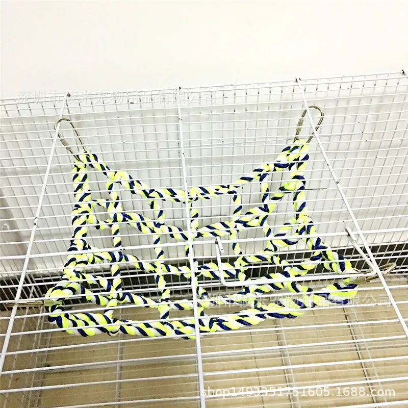 bird training