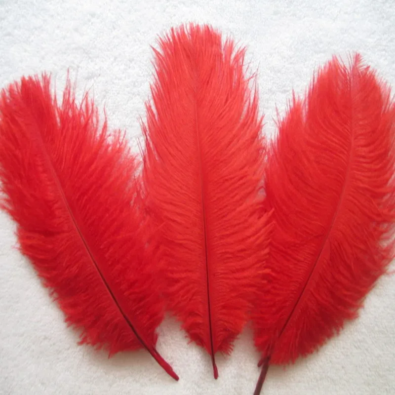 Wholesale 500 PCS / lot red ostrich feathers 15 20 cm 6 8 inches