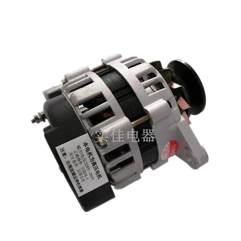 Малый бытовой шкив тип постоянный магнит постоянное напряжение 220V1500W генератор совершенно Чистая медь