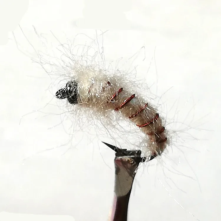 IMG_20181212_112516_