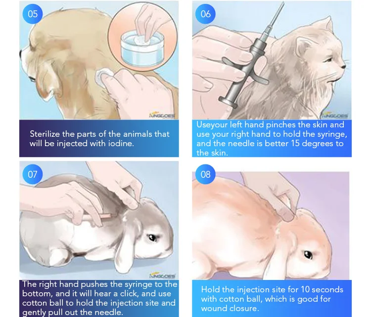 animal pet syringe (15)