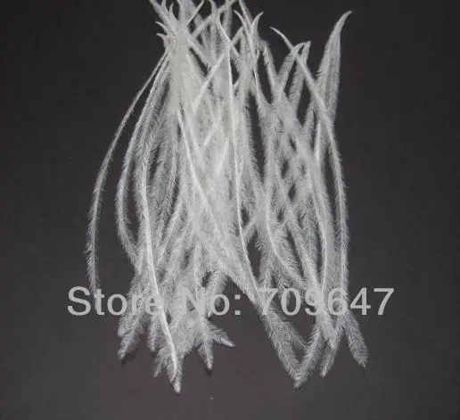 

Freeshipping 500pcs/lot 4-6inch 10-15CM Ostrich Herl Ostrich Feather Fluffy - Natural White FREESHIPPING