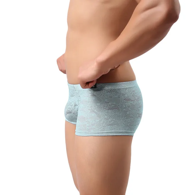 2017 New Fashion Mens Sexy Translucent Boxer Briefs Intimates Soft Lace Floral Ventilate Exotic Boxer Sexy Shorts Underpants -