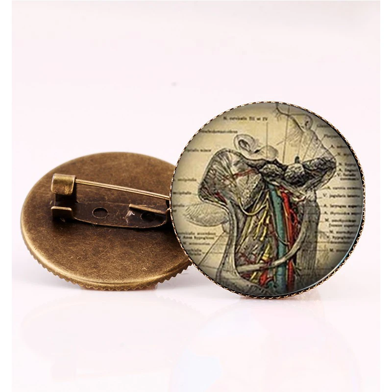 Spilla per psicologia anatomia foto Q0252 regalo per psicologia Spilla per psicologia anatomia foto Q0252 regalo per psicologia