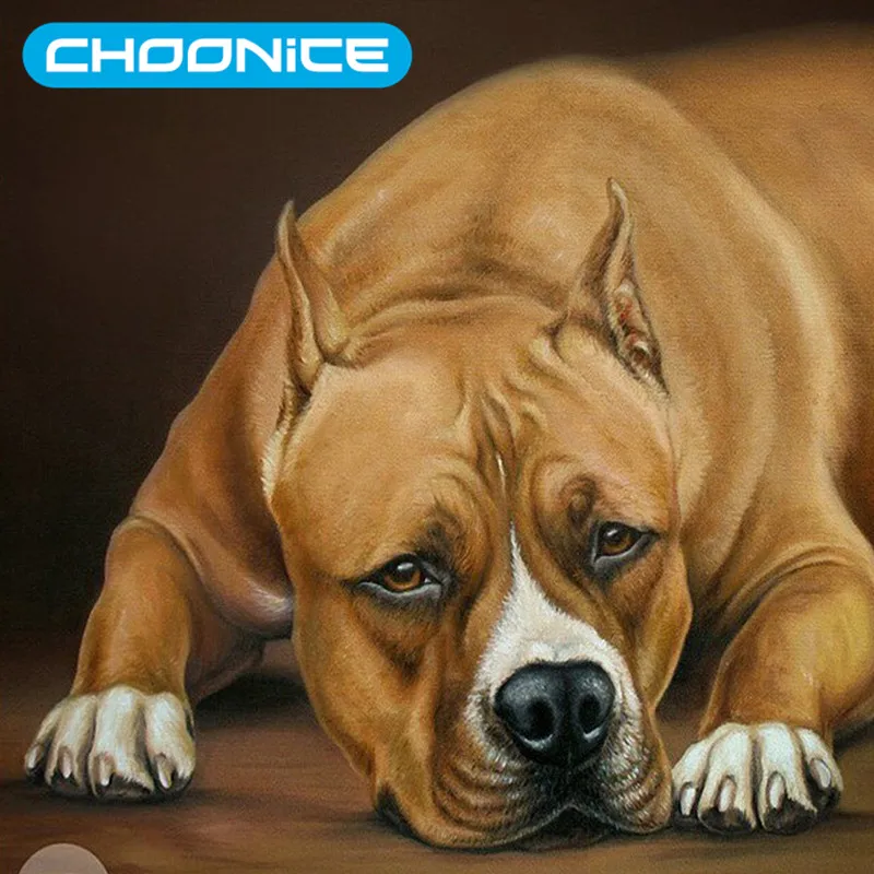 Choonice 5d Diamond Painting Cross Stitch Bulldog Diy 3d Diamond Embroidery Pokemon Dog Embroidery Ribbons Sets Sale Picture Painting Cross Stitch 5d Diamond Paintingdiamond Painting Cross Stitch Aliexpress Choonice 5d Diamond Painting Cross Stitch Bulldog Diy 3d Diamond Embroidery Pokemon Dog Embroidery Ribbons Sets Sale Picture Painting Cross Stitch 5d Diamond Paintingdiamond Painting Cross Stitch Aliexpress