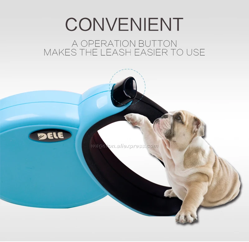 4 dog leash and collar 