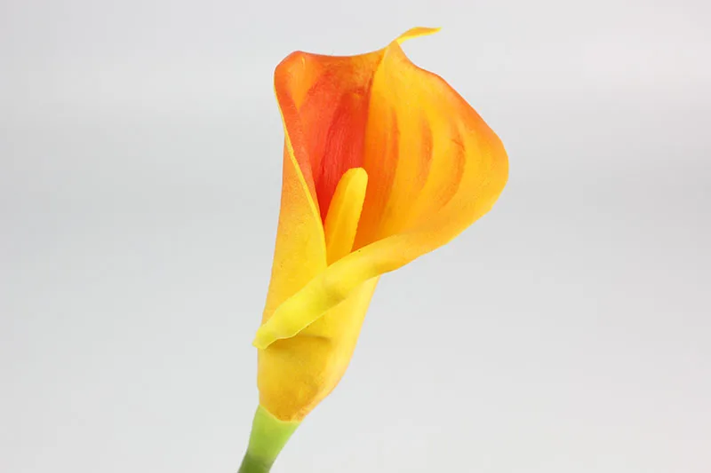 1 orange