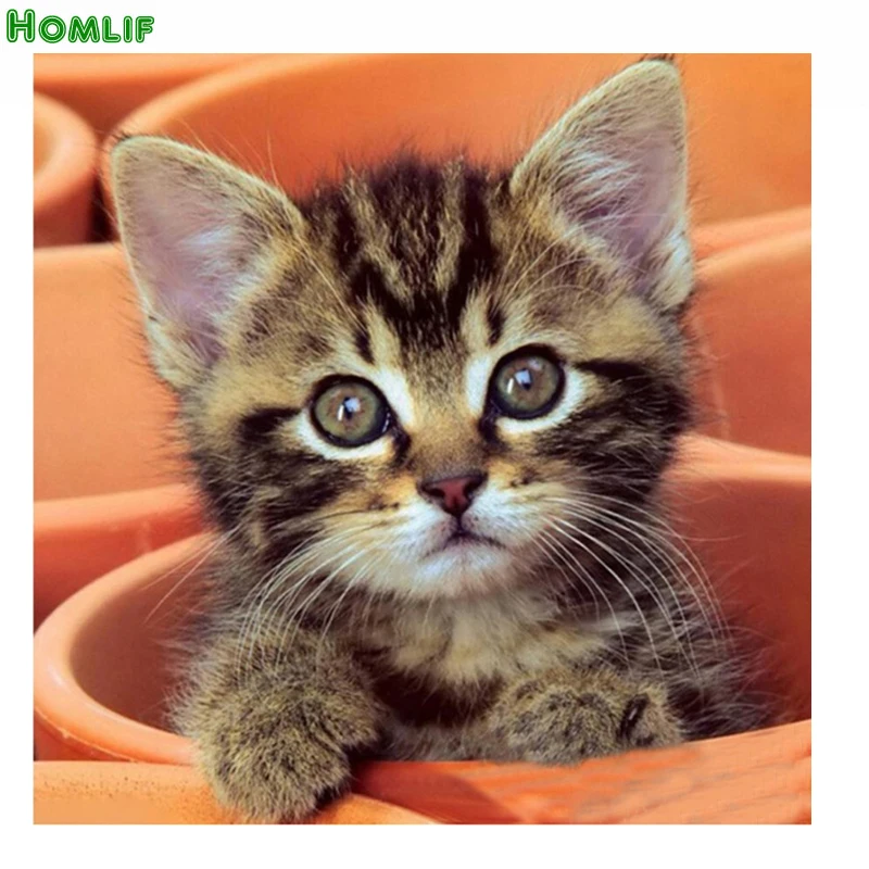 

5 D round Diamond Painting Cross Stitch animal Crystal Needlework Diamond Embroidery cat Full Diamond Decorative