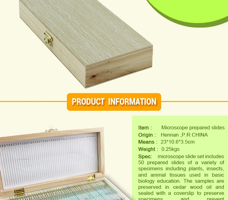 cells Microscope slides (2)