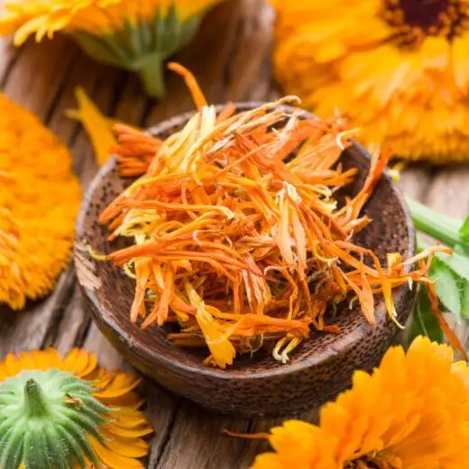 

100% Natural Dried Calendula flower petals Wedding and Party Decoration Biodegradable 10g/bag