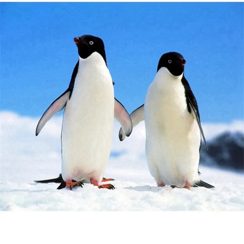 живой пингвин. императорский пингвин рост. пингвин на роликах. Penguin видео. робот шпион пингвин.