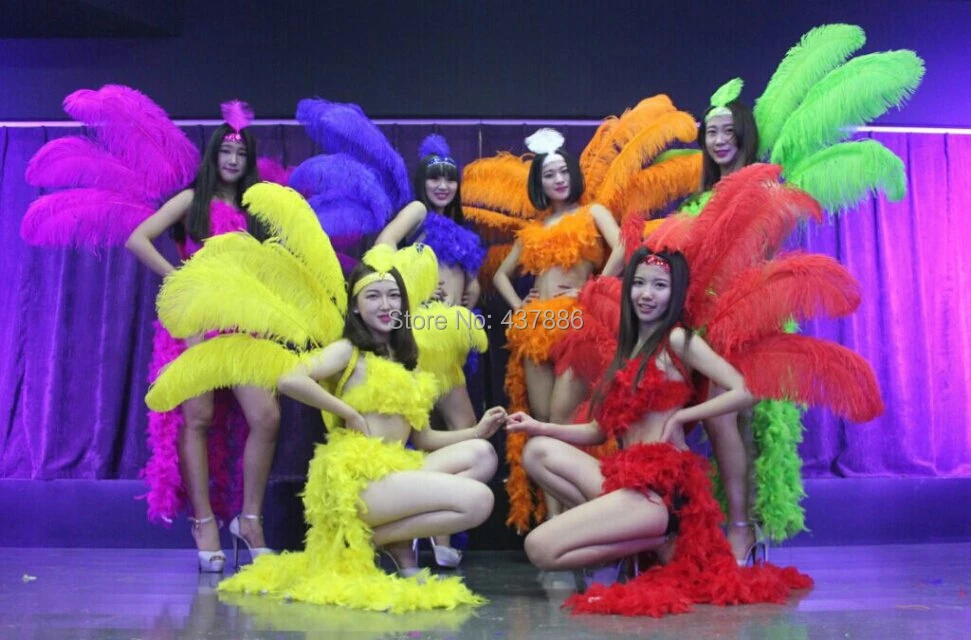 Cosplay Apertura Bar Della Fase Del Partito Di Carnevale Del Brasile Prodotti Del Sesso Piume Costumi Samba Costume Di Ballo Del Vestito Per Le Donne Sexy Costume Suits Cosplay Suitcostume For Women Aliexpress