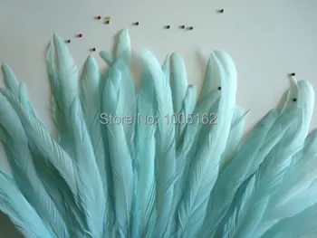 

Free Shipping 300 pcs 12-14inch(30-35cm) aqua blue Coque Feathers Rooster cock feather loose for costume crafts
