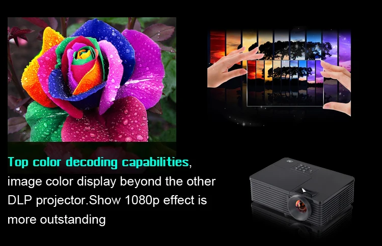 bd508colorfulsors
