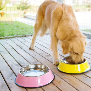 

Stainless Steel Random Color Spray Paint Pet Dog Bowls Puppy Cats Food Drink Water Feeder Pets Supplies Non-slip Feeding Dishes