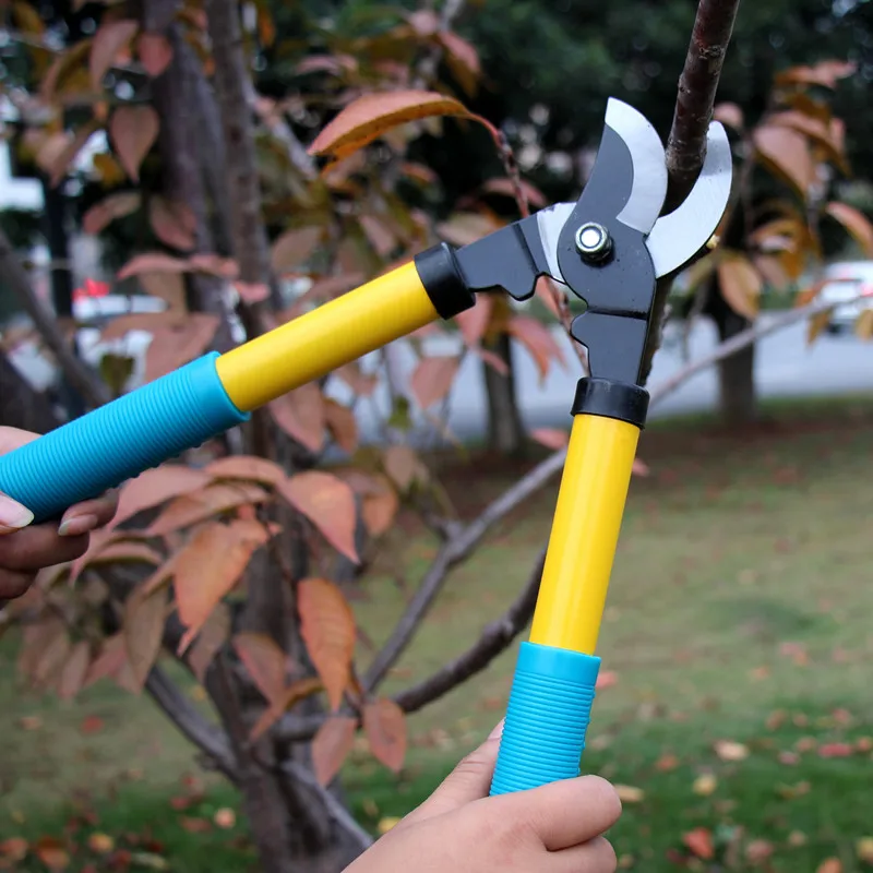 garden pruning scissors flowers trees trimmer hedge shears shrubs trimming shearing fence cutter branches cutting tool