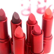 ZD Новинка 12 цветов Сексуальная матовая губная помада, макияж губ водонепроницаемый стойкий блеск для губ Косметика Красота пигмент для губ палка L076