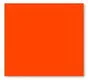 nike shorts OVIGILY Women High Waisted Lycra Spandex Dance Shorts Girls Royal Blue Work Out Gymnastics Dancing Shorts Laddies Fitness Shorts american eagle shorts Shorts