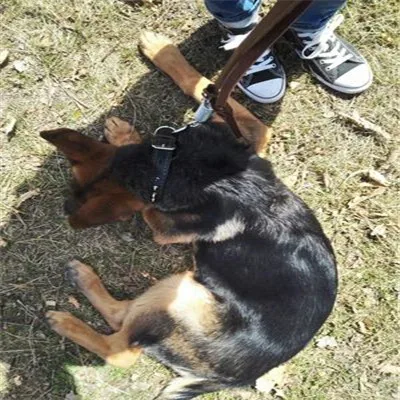 1090