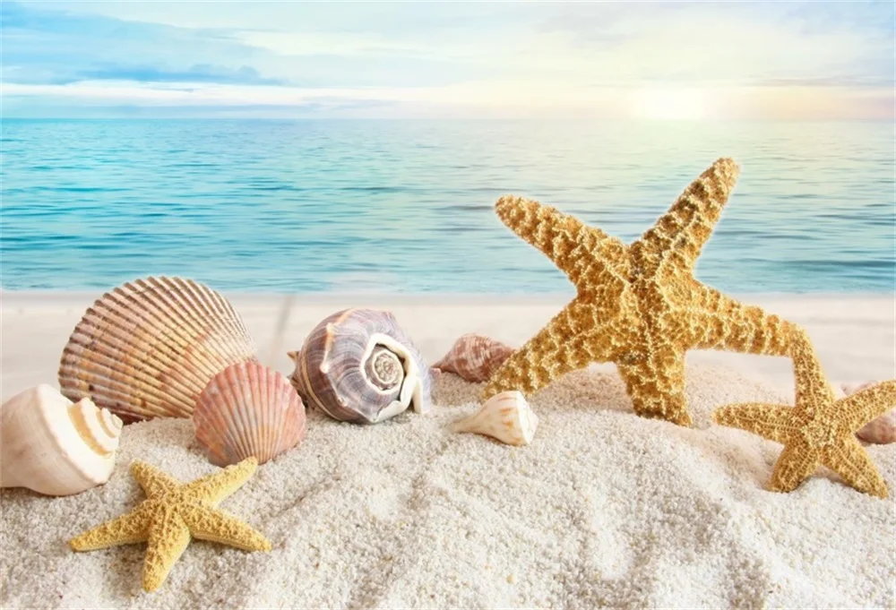 fish shell theme fish shell theme