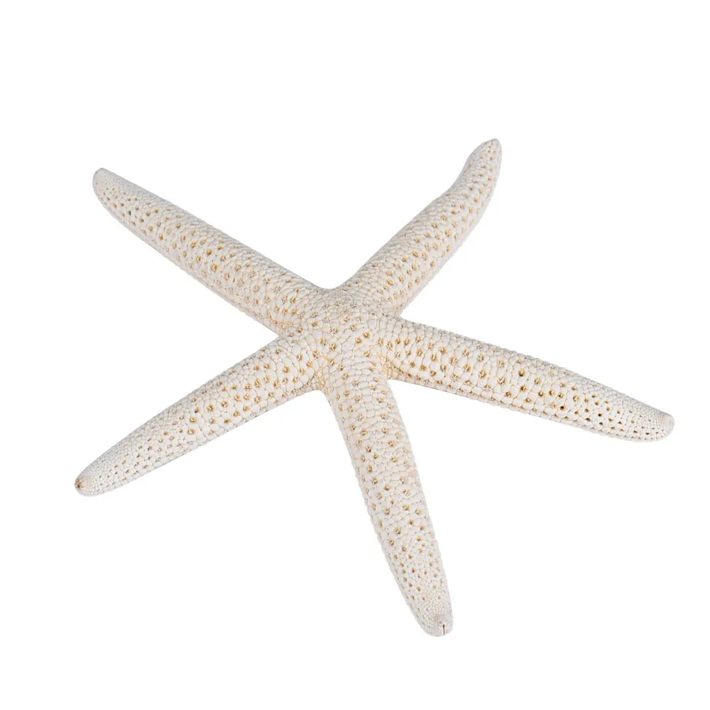 

2pcs White Natural Finger Starfish Craft Decoration Natural Sea Star DIY Beach Cottage Wedding Decor party seafish shells