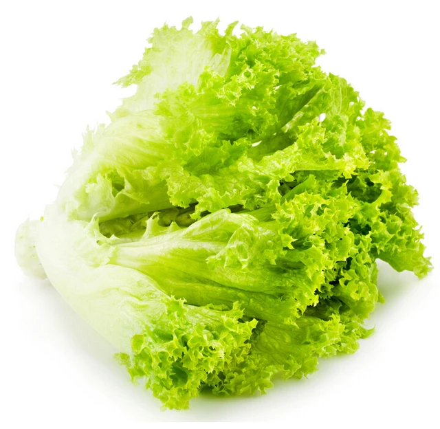 Delicious Vegetable Bonsais Lettuce 100pcs Bags Free Delivery In Bonsai From Home Garden On Aliexpress Alibaba Group