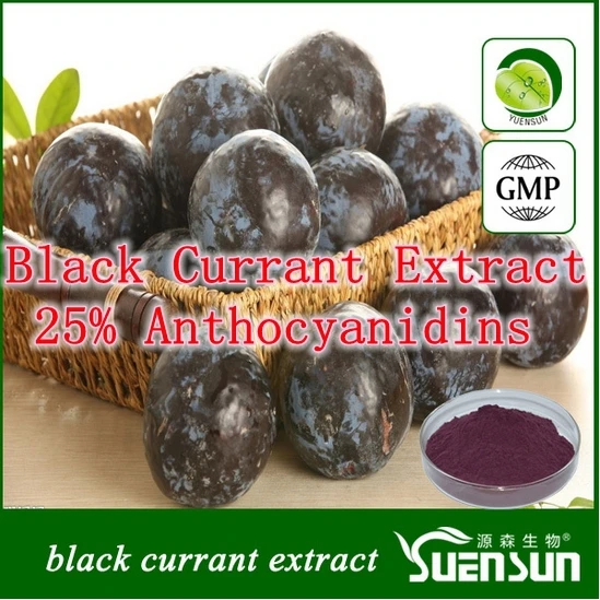 

food supplement Black Currant Extract 25% Anthocyanidins Capsule 300pcs capsule=1lot, 350mg each capsule free shipping