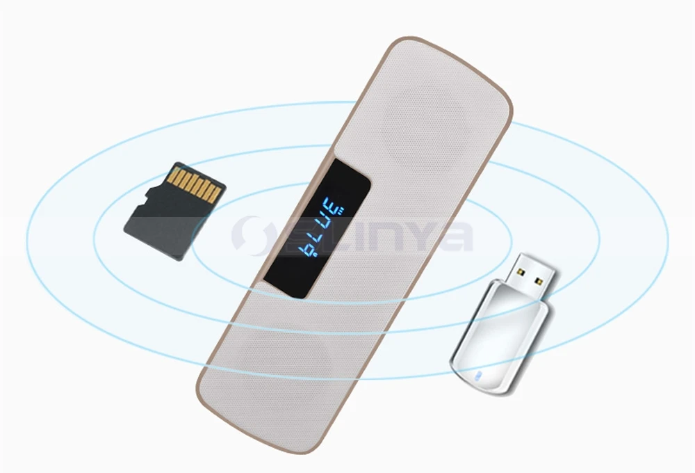 Speaker with wireless microphone 8040170721 (11)