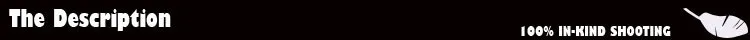 Модные Качественные женские зимние теплые Автокресло Чехлы автокресла поддержка универсальный автомобильный чехлы сидений автомобиля аксессуары для интерьера