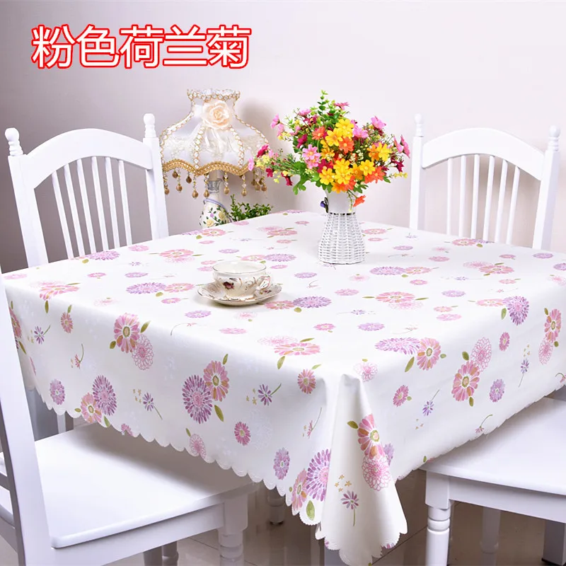 粉色荷兰菊.jpg