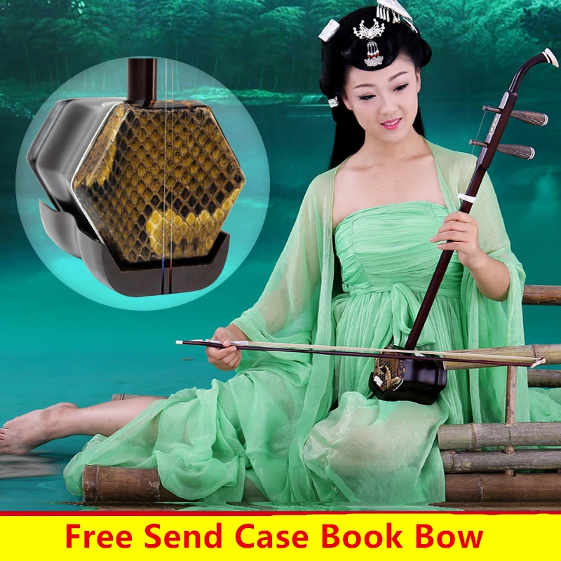 Китайские Музыкальные инструменты erhu Две Струны для скрипки палисандр с сумкой
