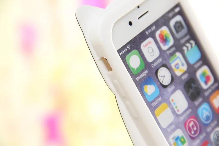 2666221675_1613229705