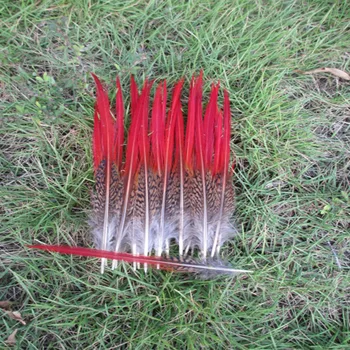 

Free shipping 200 pcs natural golden pheasant feathers wedding decoration red tip 4-6 inches / 10-15 cm feather sale