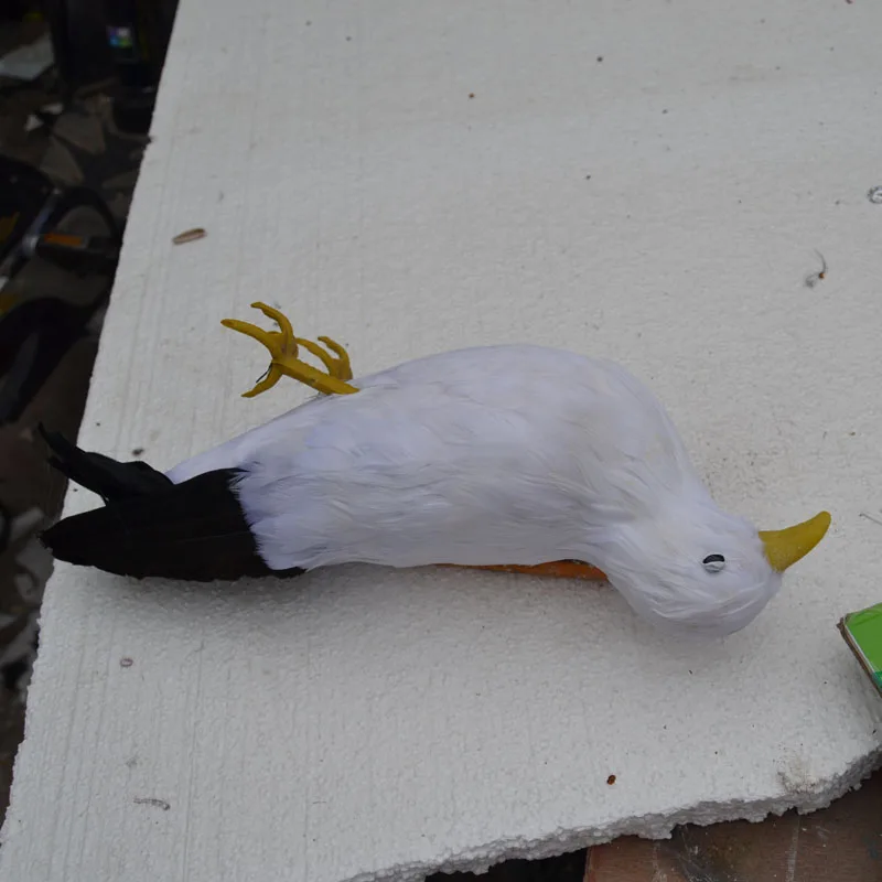 

Environmental protection publicity filming prop about 30cm simulation Bird feathers seagull toy,died seagull model gift w5545
