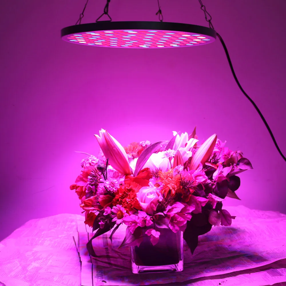 

Reflector Cup Full Spectrum 50 Watt LED Grow Light for Grow tent box / Indoor Greenhouse Hydroponic Plant Growing Lamp