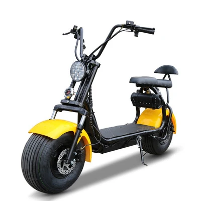

Citycoco Electric Scooter Motorcycle Cycling Bicycle 2Ah Lithium Battery Double Brake Customizable Fenders Brushless Motor