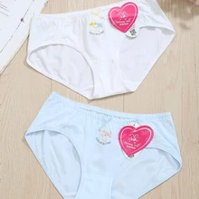 

Free Shipping Feichangzimei Teenage Girl Panties Cotton Solid Young Girls Panties 2 Pack For Young Girls ---110005-W