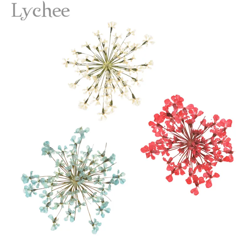Натуральный белый кружевной цветок Lychee Life прессованный высушенный для