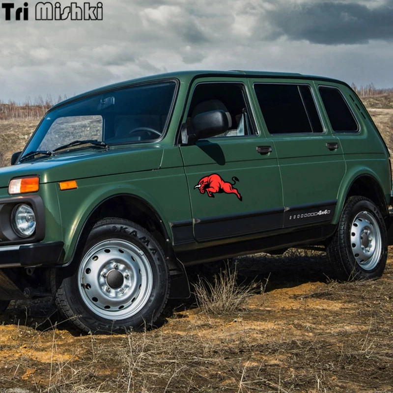 niva (19)_
