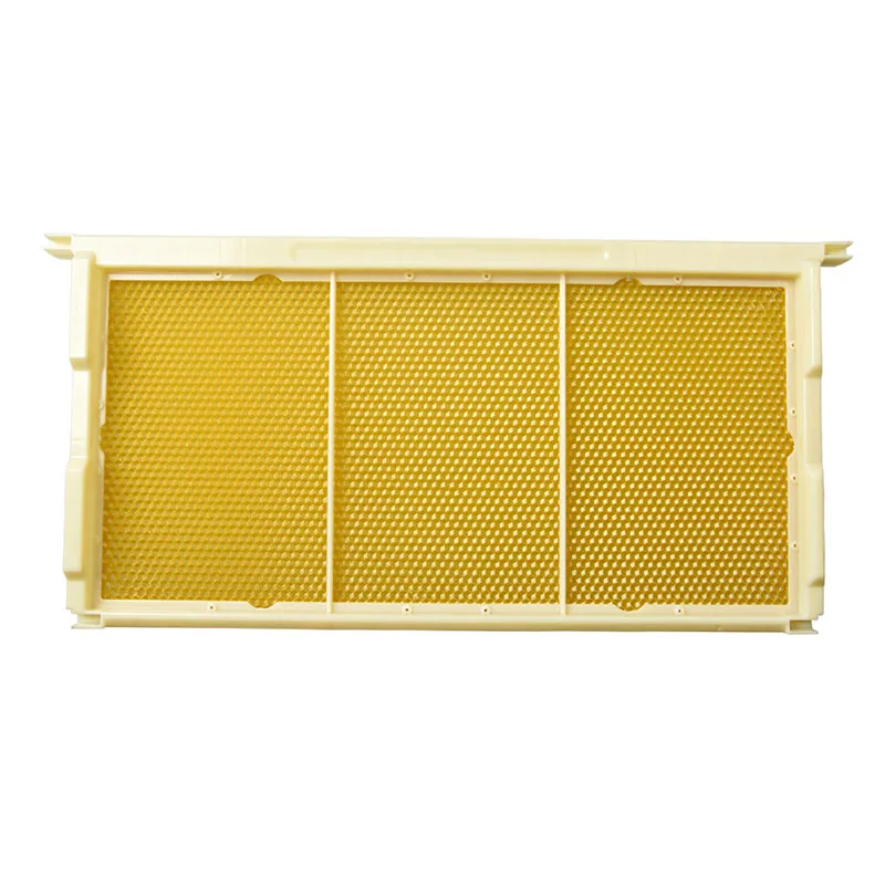 XKP10-800X800-1