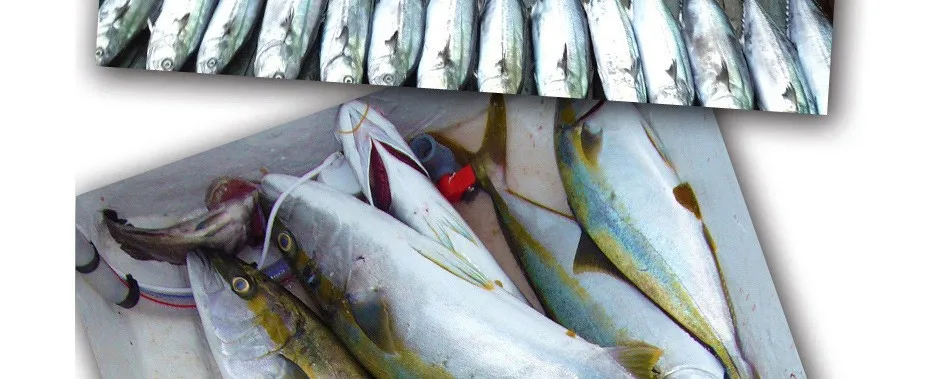 Роскошные серии Такуми 95-40 гольян приманки с красивую коробку бренд sft тонущий Рыбалка приманку 95 мм/40 г