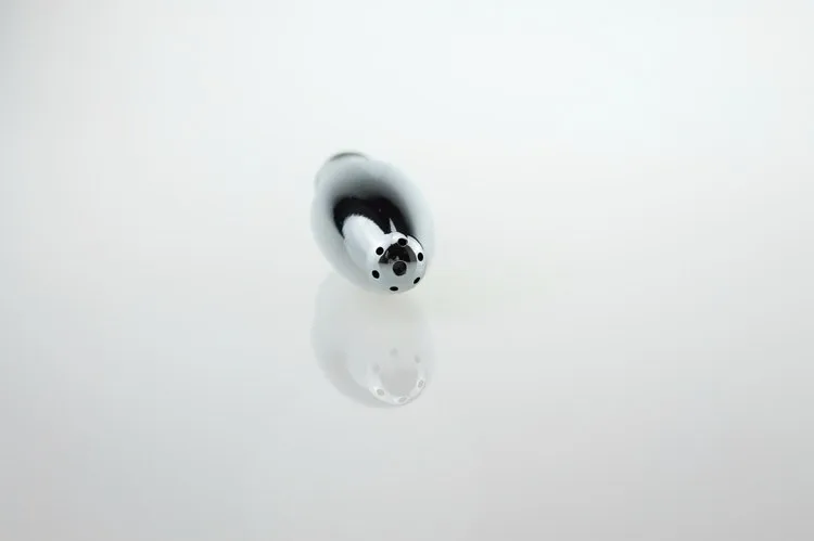 3153336325_1728770533