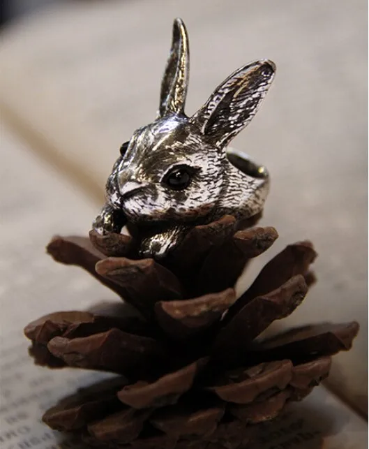 Rabbit3